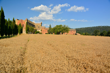 summer panorama of the Tuscan countryside in italy