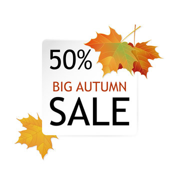Big Autumn sale design. 