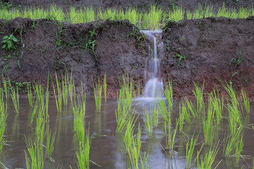 Water for agriculture on the stepped terrace.