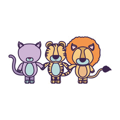 white background with light color faceless caricature cat tiger and lion animals holding hand vector illustration