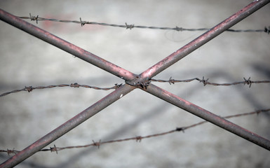 old rusted metal barbs and barb wire