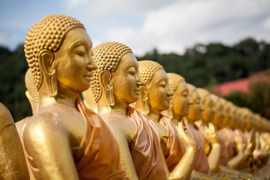 Group of buddha statue