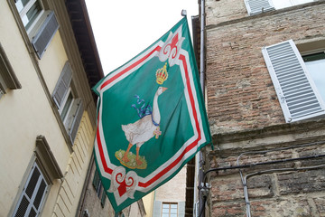 Oca flag at the contrada border, Siena, Tuscany, Italy