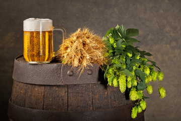 Still life with Hops,  Beer and Barley.
