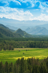 Beauty colors of summer Altai