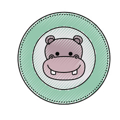 white background with light color frame decorative and face hippopotamus cute animal vector illustration