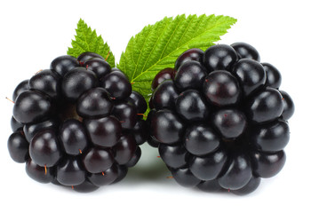 blackberries with green leaf isolated on white background. macro