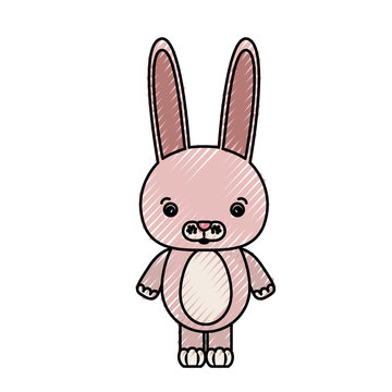 color crayon silhouette caricature cute rabbit animal vector illustration