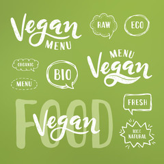 Vegan menu Lettering. Modern Hand Drawn Ecological Food Badges for restaurant menu or food package design. Vector illustration on blurred background