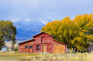 Fototapeta na wymiar autumn colors in Arizona United States