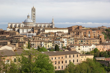 Fototapeta na wymiar Siena, Tuscany, Italy