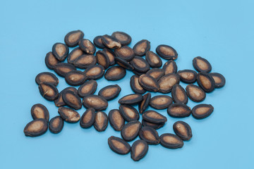 dried watermelon seed on blue background