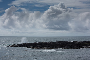 Felsenriff in Island