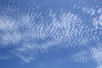 Fototapeta na wymiar Firmamento con nubes blancas.