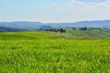 Spring in the valleys and hills of Tuscany in the province of Siena Italy