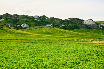 Spring in the valleys and hills of Tuscany in the province of Siena Italy