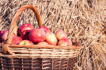 Closeup of basket with apples