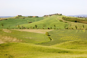 Tuscany landscape