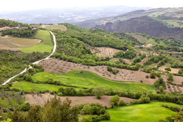 Val d'Orcia Landscape