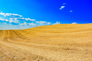 Fototapeta premium Lands of Siena, colored hills and blue sky in the countryside
