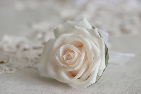 Wedding accessories: fresh white rose small bouquet for buttonhole used for groom and wedding guests positioned on a white cloth, in natural light
