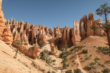Canyons in Bryce Canyon