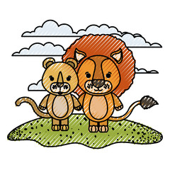 color crayon silhouette scene couple caricature lion and lioness animals in grass