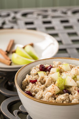Delicious Oatmeal Breakfast Cereal With Apples Cranberries and Cinnamon