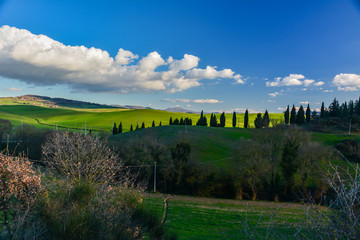 Spring landscape in the hills of Tuscany Italy, land of Brunello wine