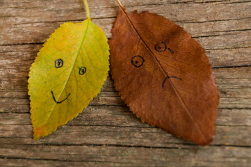 Two colorful autumn leaves with different emotions - glad, sad on the old wooden background