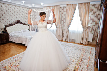 Fototapeta na wymiar Portrait of a gorgeous bride posing in her room on her own.