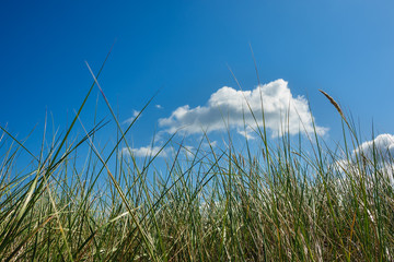 Strand an der Ostsee bei Graal M&uuml;ritz
