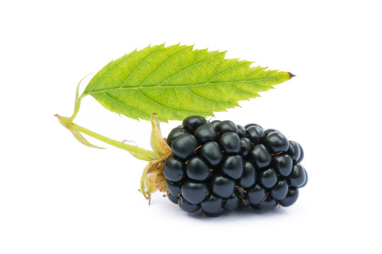 Ripe sweet blackberries isolated on a white background
