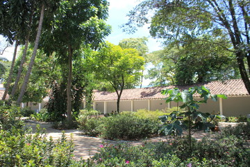 Paisaje. Jardín Botánico. Medellín, Colombia.