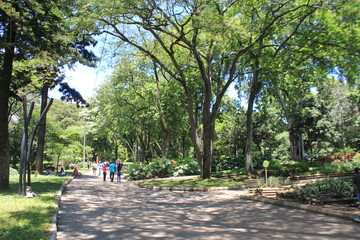 Paisaje. Jardín Botánico. Medellín, Colombia.