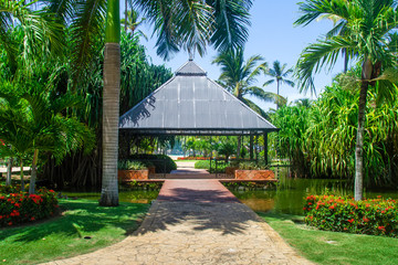 Arbor among palm trees, by the pond