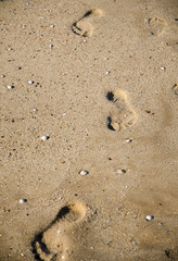 Fototapeta na wymiar Footsteps in the sand on the beach