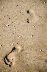 Footsteps in the sand on the beach