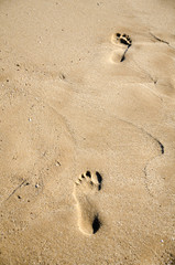 Footsteps in the sand on the beach