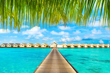 Wooden villas over water of the Indian Ocean, Maldives, view under the branches of palm trees