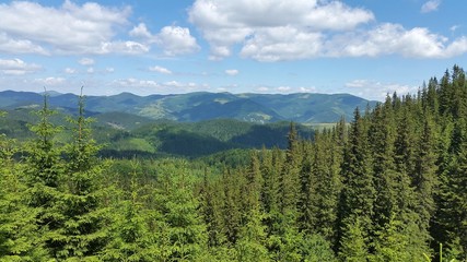 the landscape of the Carpathian mountains