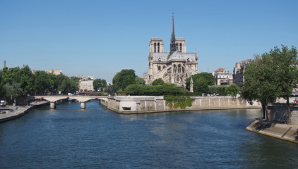 Fototapeta na wymiar Cathédrale Notre-Dame de Paris et la Seine