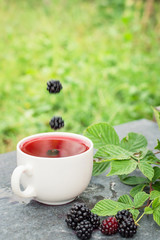 Cup of tea and blackberry