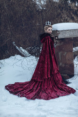 Princess in a red cloak in the snow