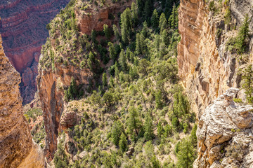 Grand Canyon National Park