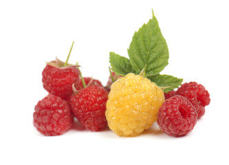 Yellow and red of ripe raspberries, isolated on white background