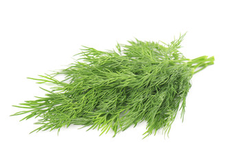 Sprig of fresh green dill isolated on white background