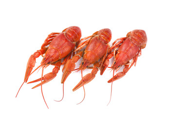 Three red boiled crayfish isolated on white background