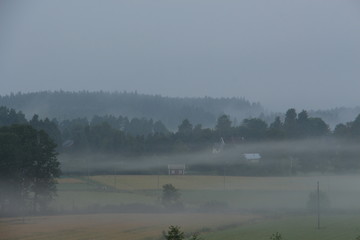 Fototapeta premium Landscape with fog