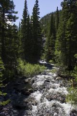 Fototapeta na wymiar Colorado Hiking Trails